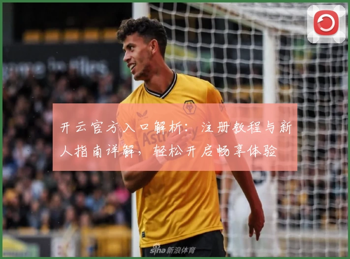 开云官方入口解析：注册教程与新人指南详解，轻松开启畅享体验