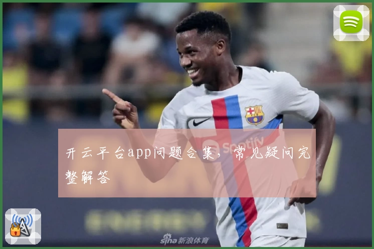开云平台app问题合集，常见疑问完整解答