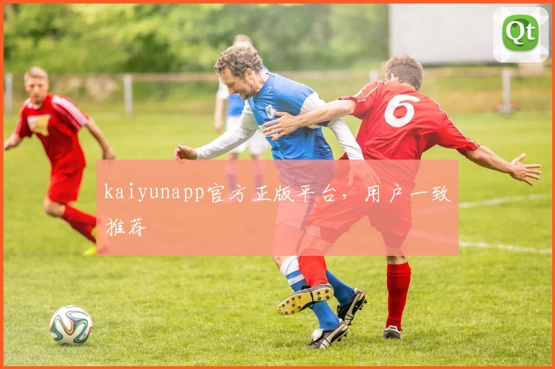 kaiyunapp官方正版平台，用户一致推荐