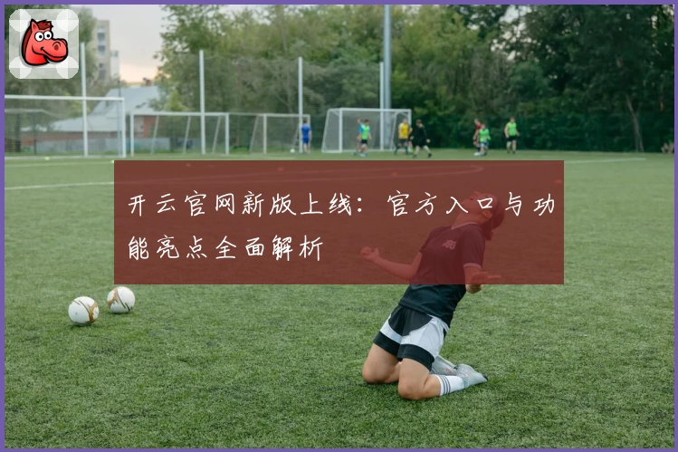 开云官网新版上线：官方入口与功能亮点全面解析