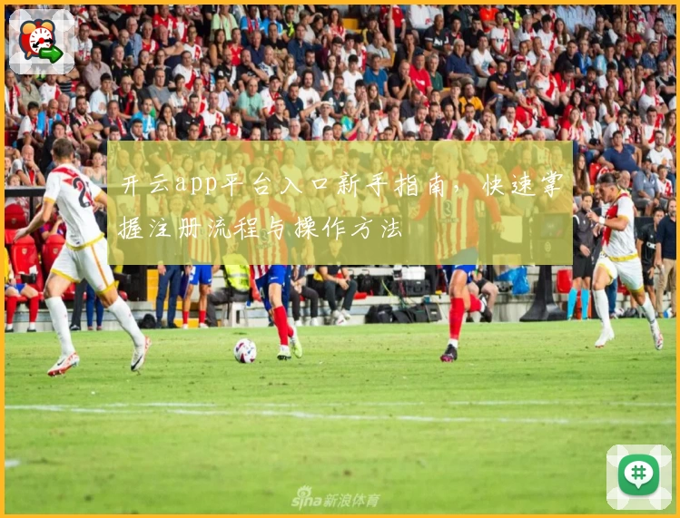 开云app平台入口新手指南，快速掌握注册流程与操作方法